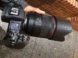Canon RF 50mm F/1.2L USM Lens